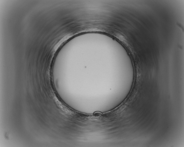 X0000100401181200806271413