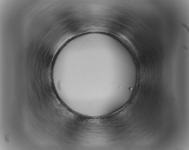 X0000100401182200806271413