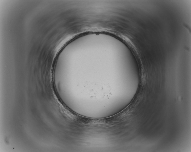 X0000100401183200806271413