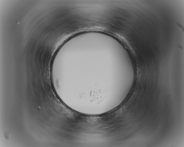 X0000100401184200806271413