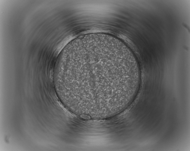 X0000100401185200806271413
