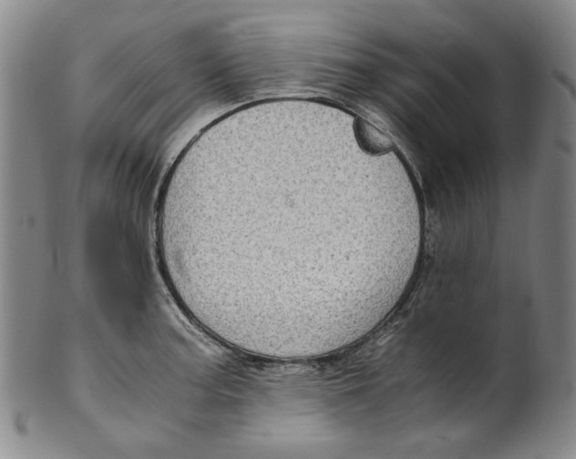 X0000100401187200806271413