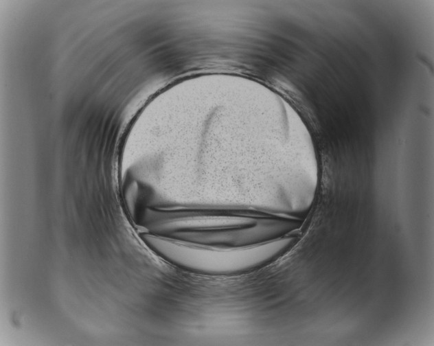 X0000100401188200806271413