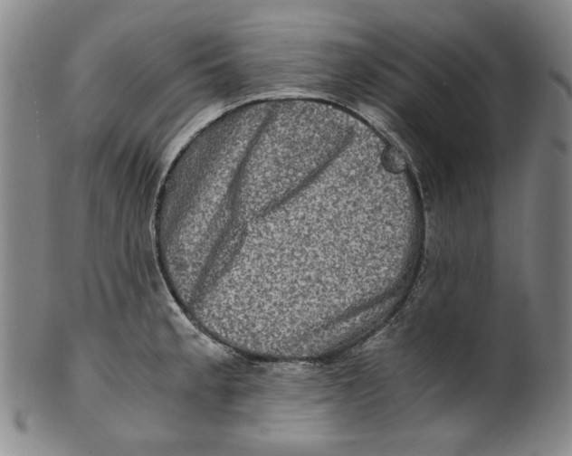 X0000100401189200806271413