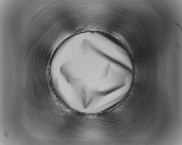 X0000100401190200806271413