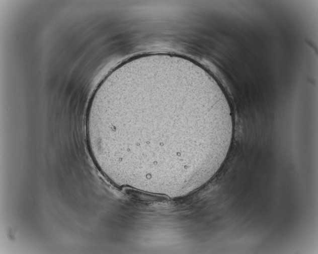 X0000100401191200806271413