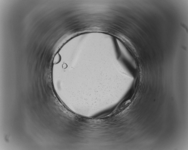 X0000100401192200806271413