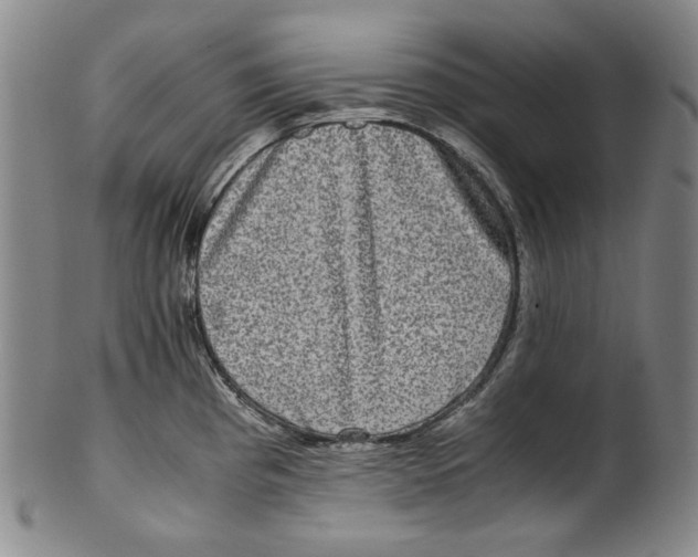 X0000100401193200806271413