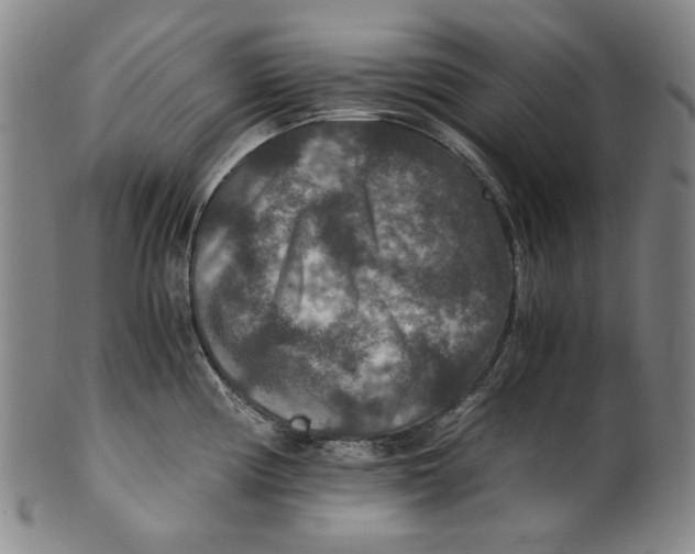 X0000100401194200806271413
