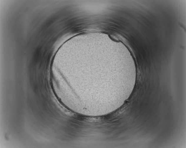 X0000100401195200806271413