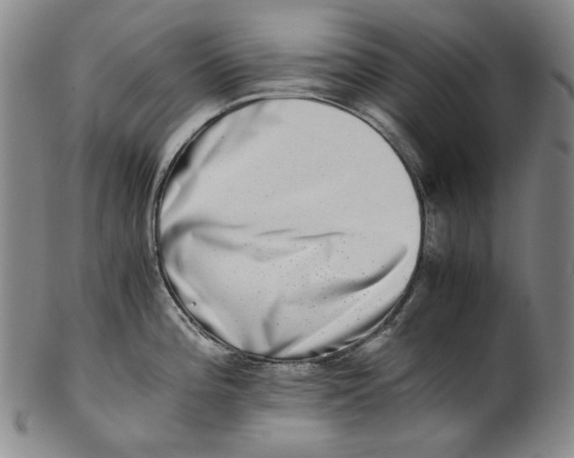 X0000100401196200806271413