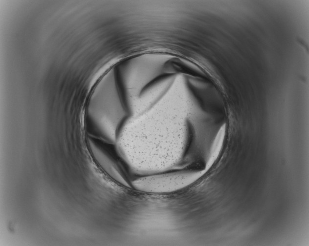 X0000100401198200806271413