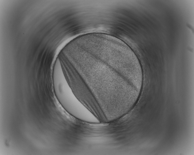 X0000100401200200806271413