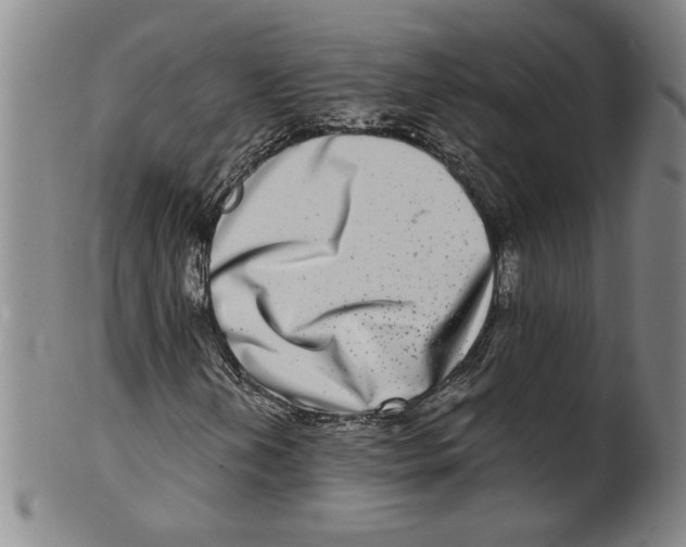 X0000100401202200806271412
