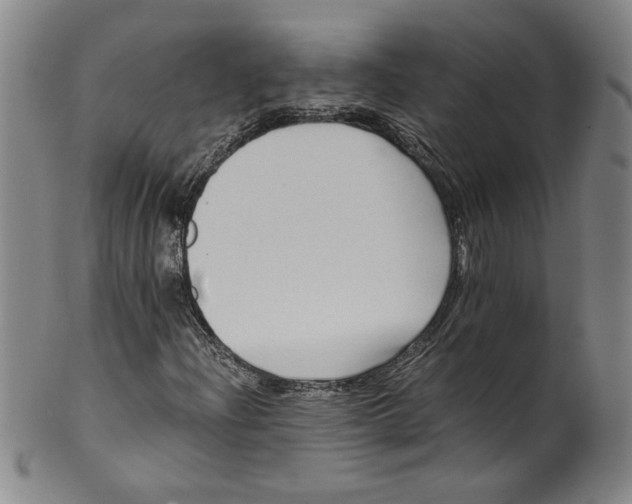 X0000100401204200806271412