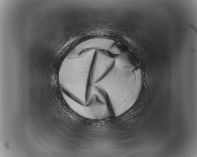 X0000100401206200806271412