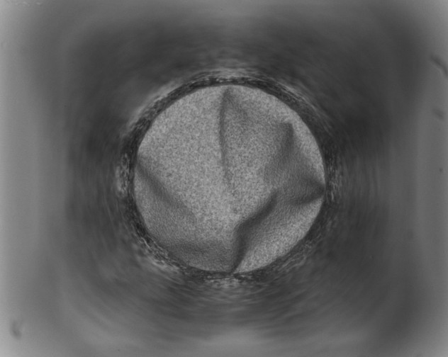 X0000100401207200806271412