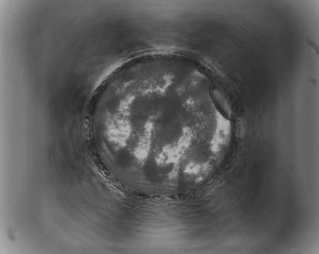 X0000100401208200806271412