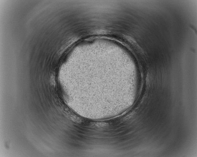 X0000100401209200806271412