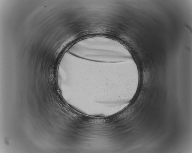 X0000100401210200806271412