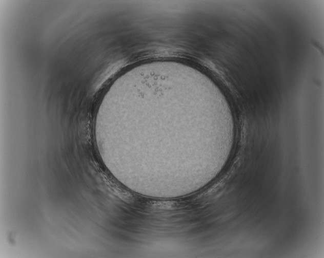 X0000100401211200806271412