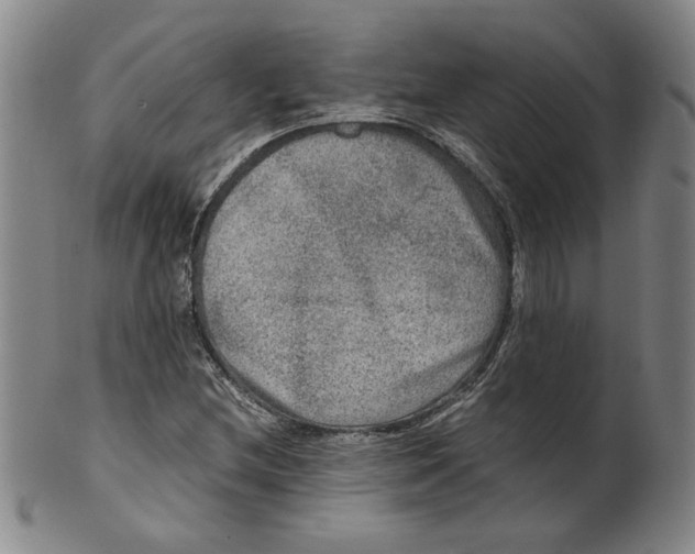 X0000100401212200806271412
