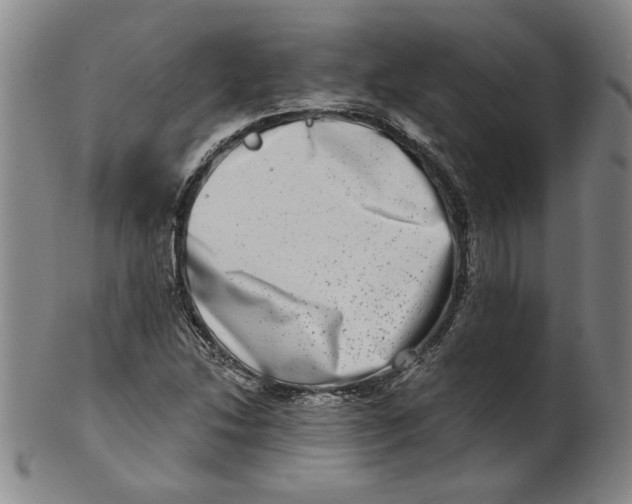 X0000100401214200806271412