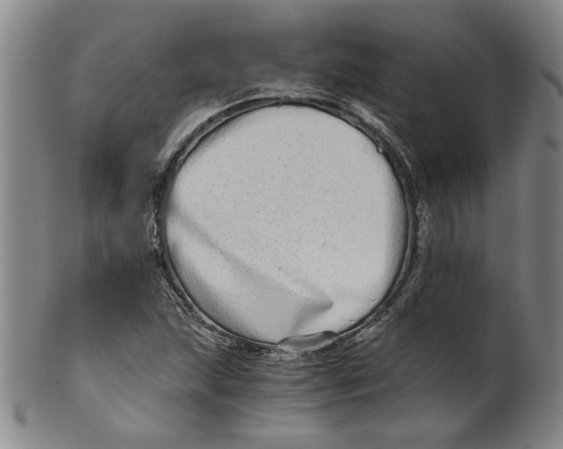 X0000100401215200806271412