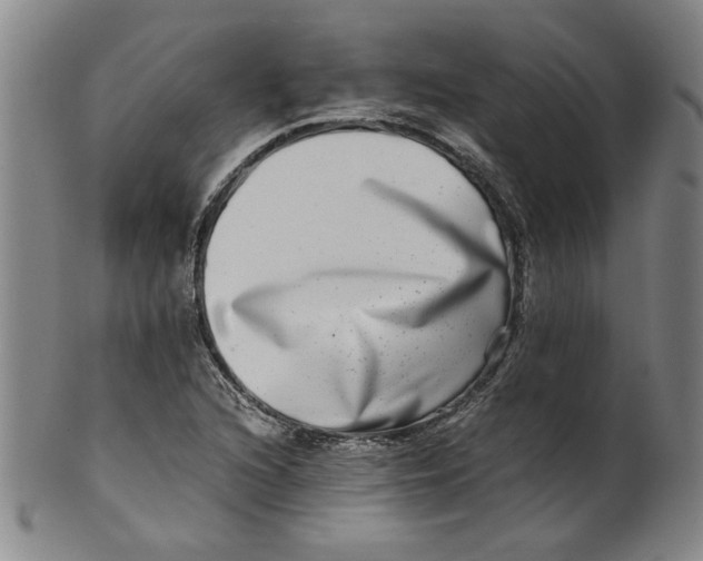 X0000100401216200806271413