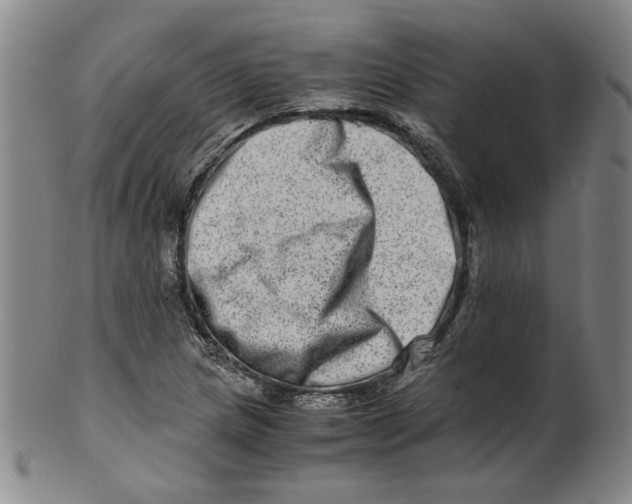 X0000100401217200806271413