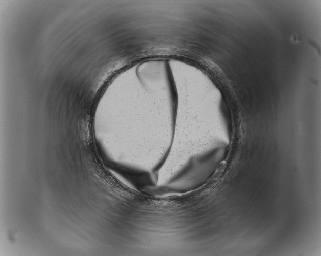X0000100401218200806271413