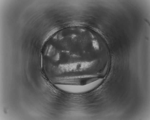 X0000100401219200806271413