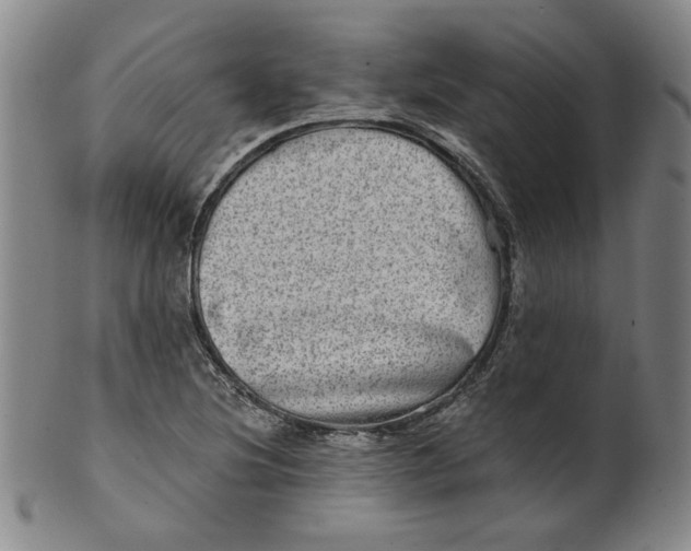 X0000100401220200806271413