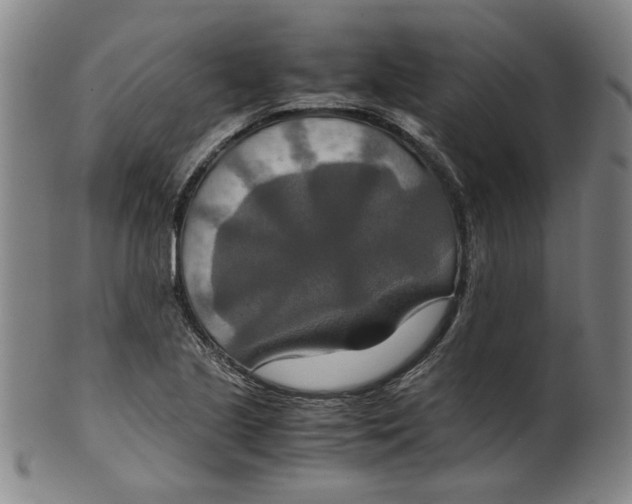 X0000100401221200806271413