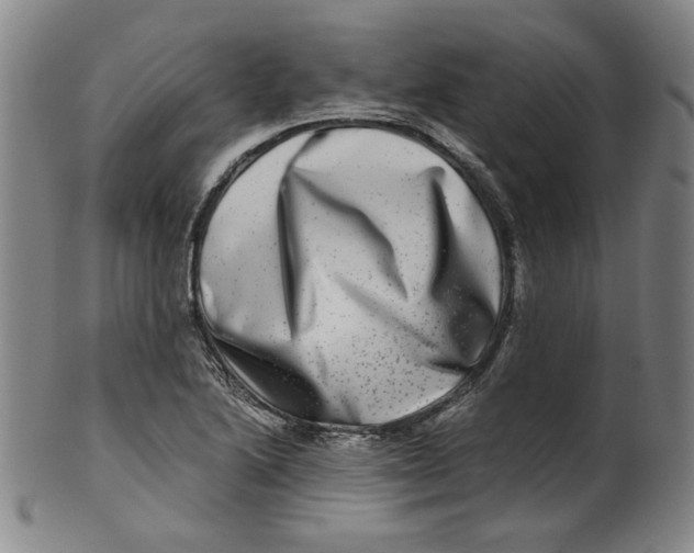 X0000100401222200806271413