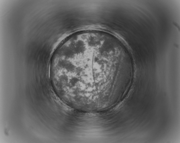 X0000100401224200806271413