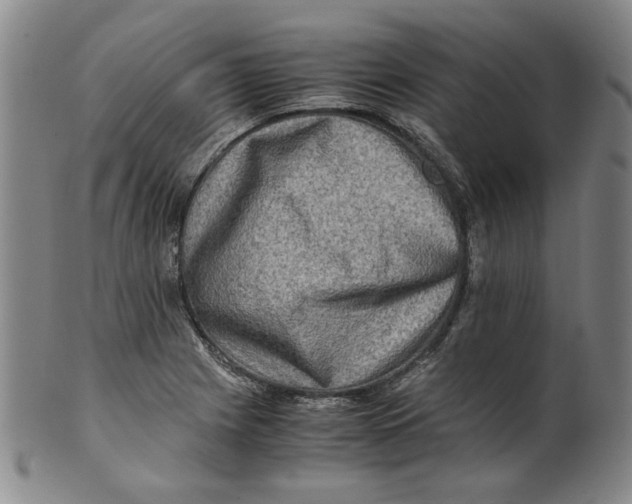 X0000100401225200806271413