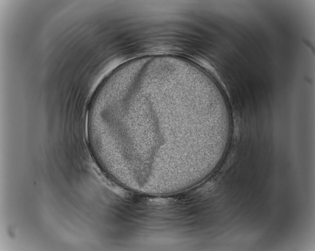 X0000100401227200806271413