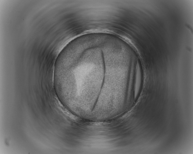 X0000100401228200806271413