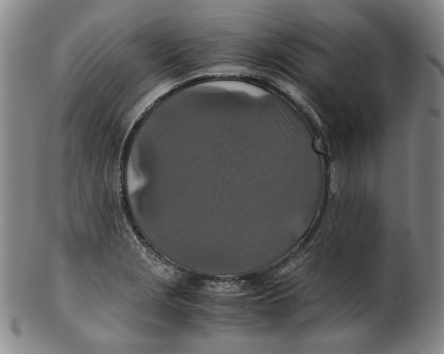 X0000100401229200806271413