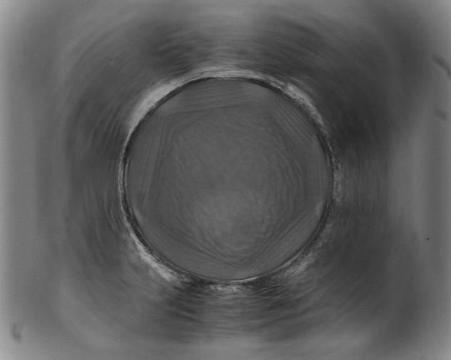 X0000100401231200806271413