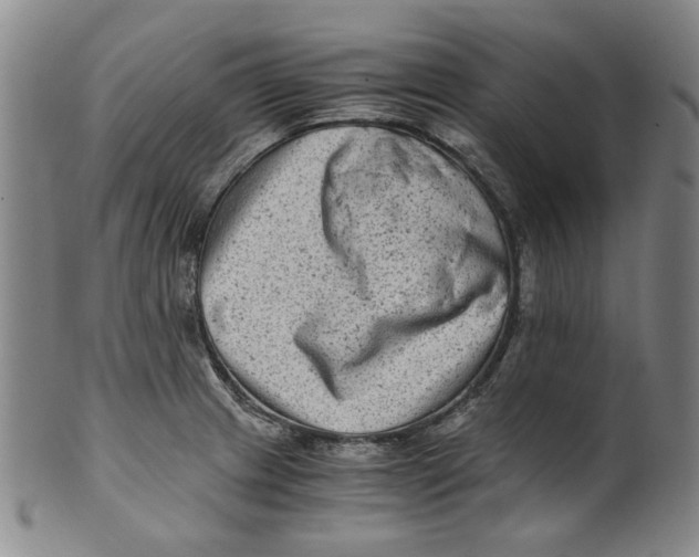 X0000100401233200806271413