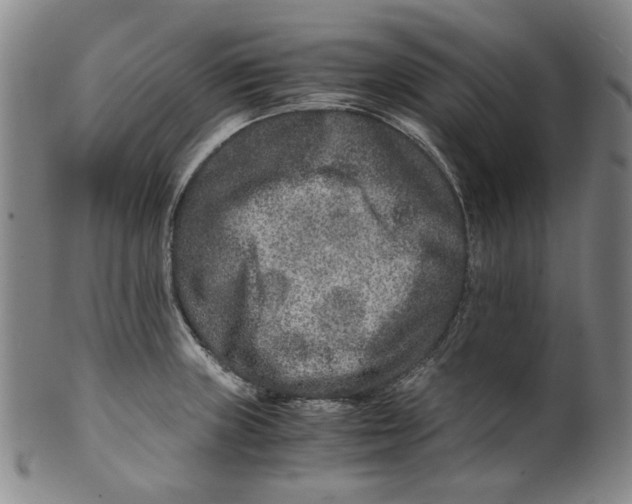 X0000100401235200806271413