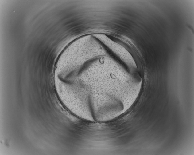 X0000100401236200806271413