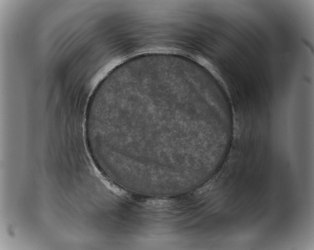 X0000100401237200806271413