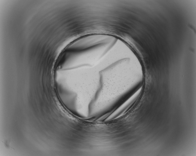 X0000100401238200806271413