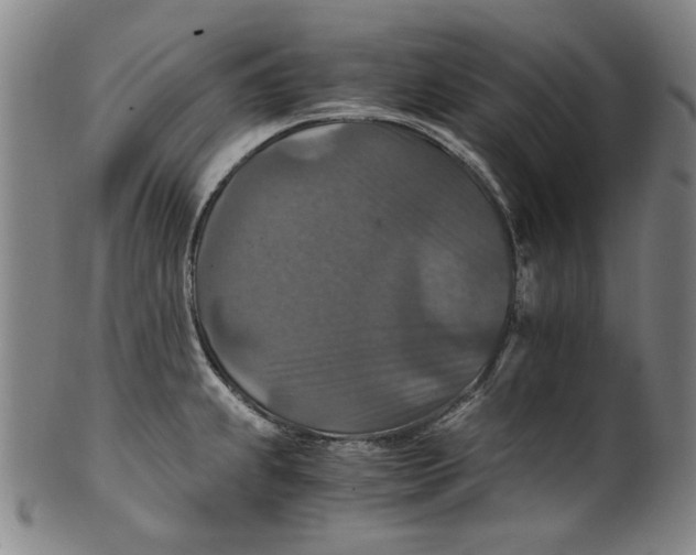 X0000100401239200806271413