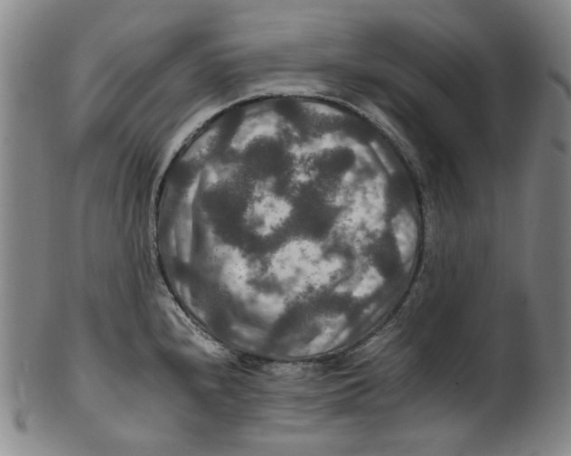 X0000100401240200806271413