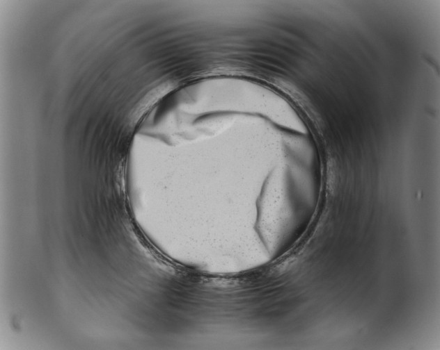 X0000100401241200806271413