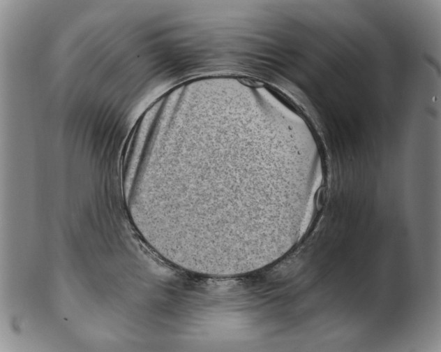 X0000100401242200806271413